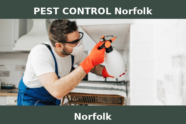 PEST CONTROL Norfolk